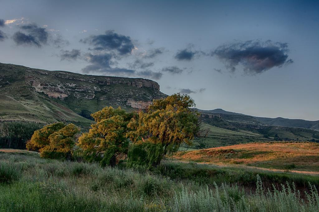 De Molen Farm Villa Clarens Kültér fotó